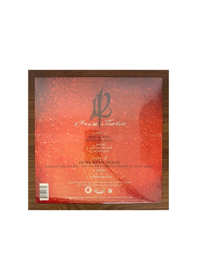 112 Featuring Ludacris Hot & Wet
