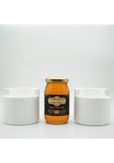 Köyceğiz Balı Bahar Çiçek Balı Cam Kavanoz 450 G