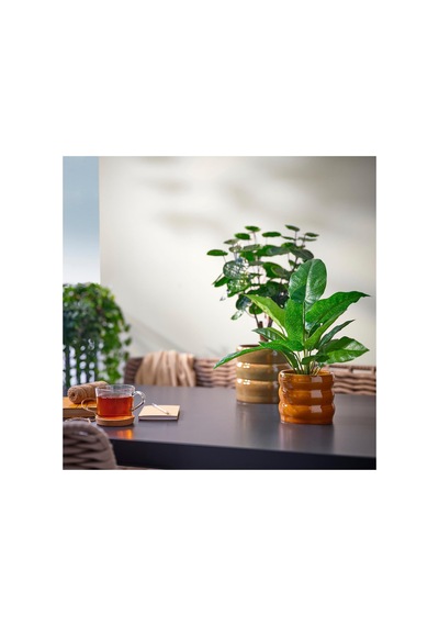 Ikea Hasselbukett Seramik Saksı Kahverengi/sarı 12 Cm İç Ve Dış Mekan