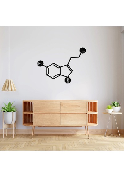 Serotonin Metal Tablo Siyah