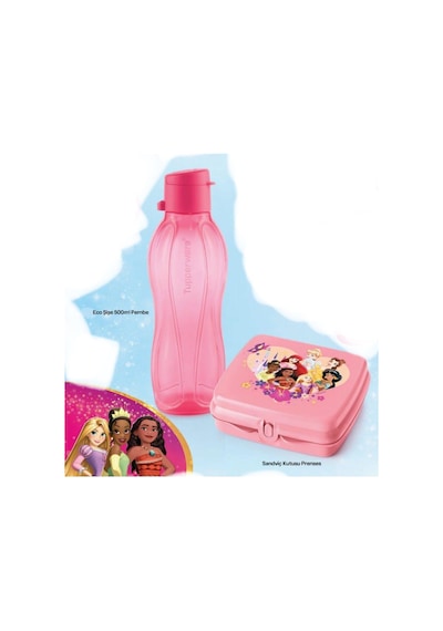Prenses Set Eco Şişe 500ml Ve Sandviç Kutusu Pembe Set Pembe