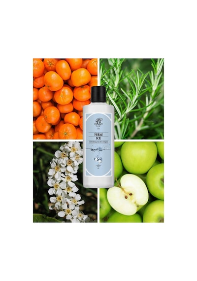 Rebul Ice Kolanya 250 Ml + 125 Ml 2 Li Set