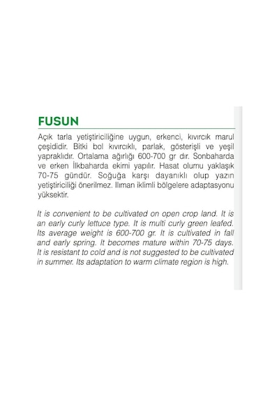 AGRodal Tarım Ata Tohumu Yerli Doğal Marul Fusun 1000 Adet Toh