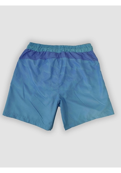 Nature The Brand Erkek Mavi Çizgi Desenli Çok Amaçlı Sporcu Deniz Şortu, Havuz Şortu, Koşu Spor Şortu Mavi
