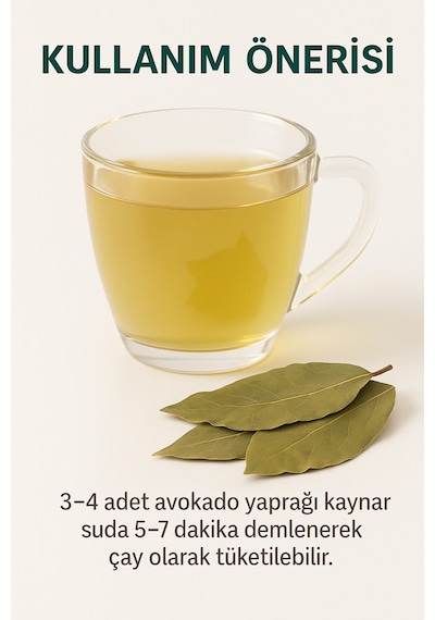 Avokado Yaprağı 40 Gr Doğal Kurutulmuş Bitki Çayı