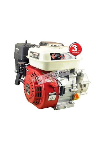 Goldmoto Gm200G Benzinli Motor Gokart 6.5 Hp İpli