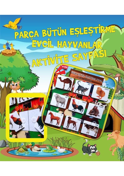 Tox Evcil Hayvanlar Parça-Bütün Eşleşmeler Keçe Cırtlı Aktivi