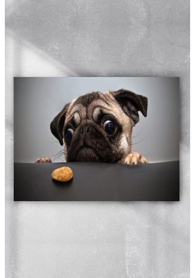 Köpekcik Eğlenceli Mizahi Poster