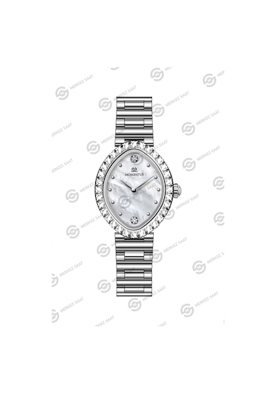 Momentus Women's Shiny Ss401s-09ss Çok Renkli
