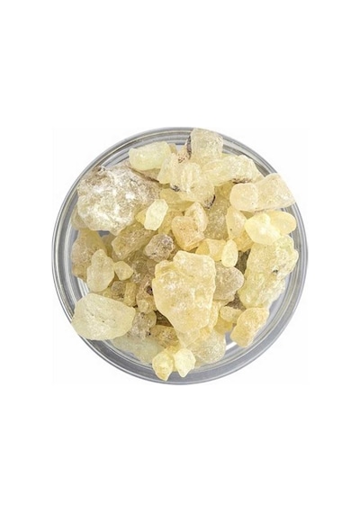 Sandaloz Sakızı 100 GR