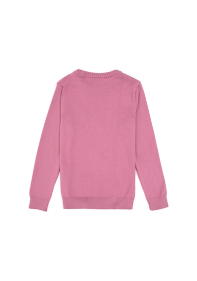 U.S. Polo Assn. Kız Çocuk Pembe Bisiklet Yaka Basic Kazak 50316808-VR167