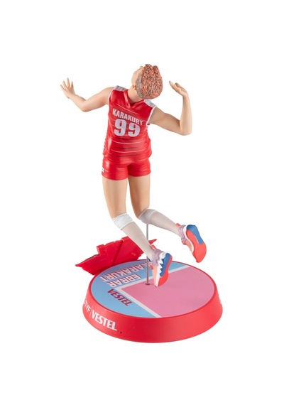 Ebrar Karakurt Voleybol İkonu