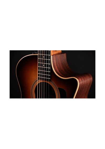 Taylor 414ce Studio Elektro Akustik Gitar Shaded Edgeburst 104051391127