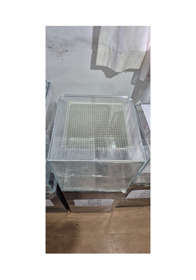 40x40 Fish Jumping File Yeşil