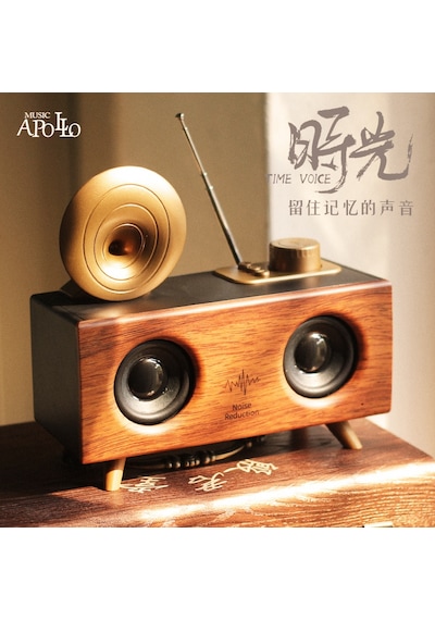 Antika Klasik Ahşap Bluetooth Hoparlör Fm Radyo Gramofon B6