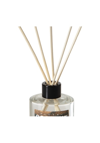 Mudo Home Gloomy Coconut Oda Kokusu 95 Ml Musk