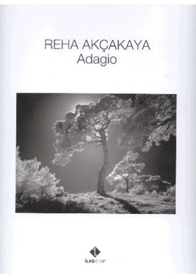 Adagio / Reha Akçakaya