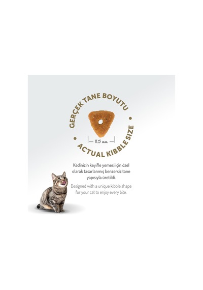 Ayrex Az Tahıllı 2 Kg Sterilised Somonlu Kısırlaştırılmış Hypoallergenic Kedi Maması