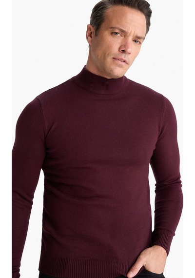 Defacto Slim Fit Dar Kesim Balıkçı Yaka Basic Düz Triko Kazak R1127az25wnbr34 Bordo Defacto Slim Fit Dar Kesim Balıkçı Yaka Basic Düz Triko Kazak R1127az25wnbr34 Bordo