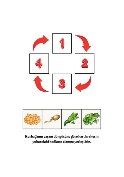 Çocuklar İçin Kodlama Eğitim Seti Okul Öncesi, 1,2,3. Sınıflar