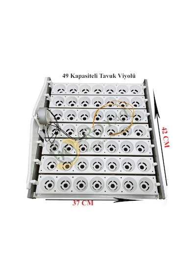 49'luk Otomatik Kuluçka Gelişim Viyolü 1/2.5 Rpm 4 Watt