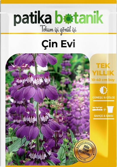 100 Adet  Mor-beyaz Çin Evi Çiçek Tohumu Collinsia Heterophylla