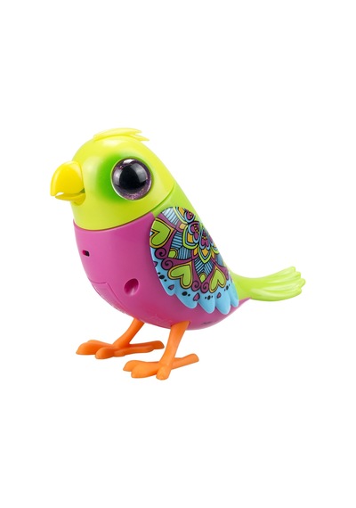Digibirds Tekli Paket Seri 1 - Model 3