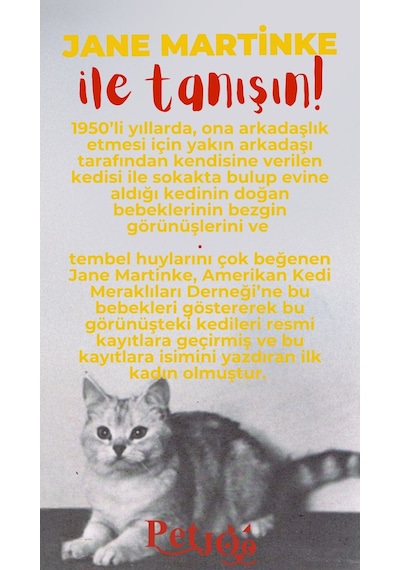 Petjoo 5.Jane Martinke Kırmızı-Sarı Qr'lı Kedi Künyesi