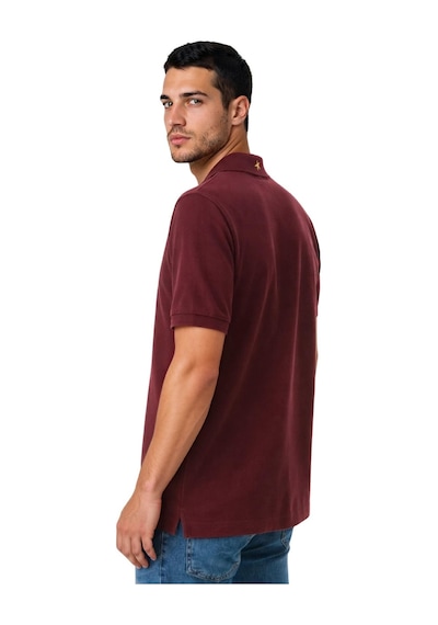 Arma Ar-ma Erkek Polo Yaka Tişört Baskisiz Basic Örme Kumaş Regular Fit %100 Pamuk 30/1 Çift Toplama Penye Pike Y31374358302 Bordo-b1 Arma Ar-ma Erkek Polo Yaka Tişört Baskisiz Basic Örme Kumaş Regular Fit %100 Pamuk 30/1 Çift Toplama Penye Pike Y31374358302 Bordo-b1