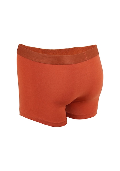 Hatemoğlu Kiremit Pamuklu Boxer 15153024c001 019 Kiremit