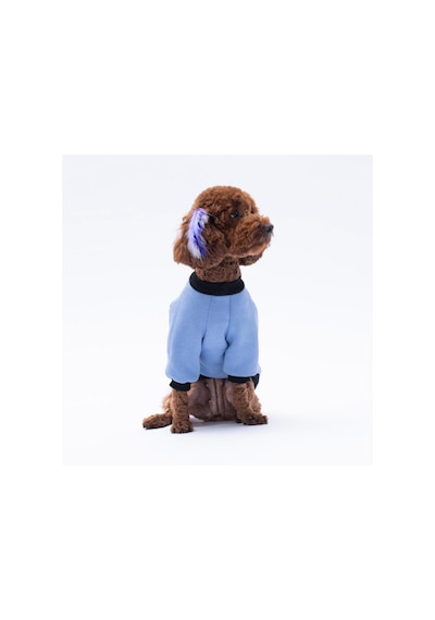 Mavi Loviisa Sweat Kedi Köpek Sweat- Kedi Köpek Kıyafeti