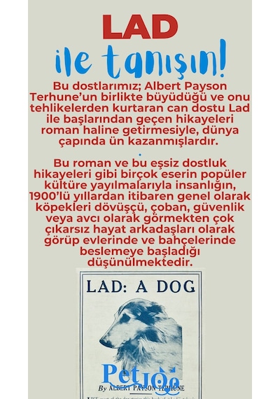 Petjoo 23.Lad Mavi-Kırmızı Qr'lı Köpek Künyesi
