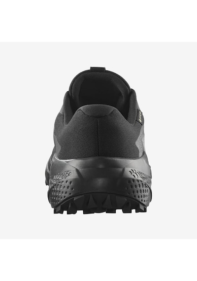 Salomon Alphaglide Gore-tex Erkek Patika Koşu Ayakkabısı L47802100 Siyah