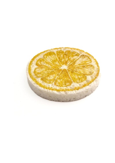 Temmiz Magic Sponge Sihirli Sünger Limon Desenli