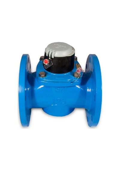 S-Meter  S-meter Wp-sdc Plus Dn125 Soğuk Su Sayacı