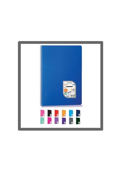 Colormaxi 96 Yaprak Kareli A4 Defter Pp Spiralli - 3 Adet Çok Renkli