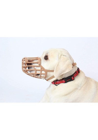 Köpekler İçin Zehirli Yem Ağızlığı Boyut 7