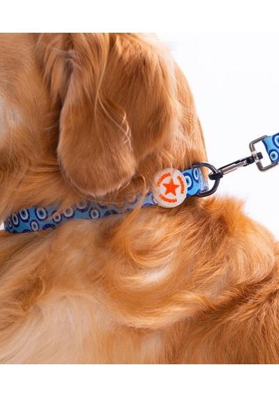 Pawstar Charm Boyun Tasması M Boyun Çevresi: 32 Cm X 48 Cm Çok Renkli