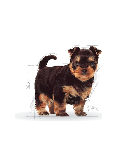 Royal Canin Yorkshire Terrier Yavru Köpek Maması 1500 G