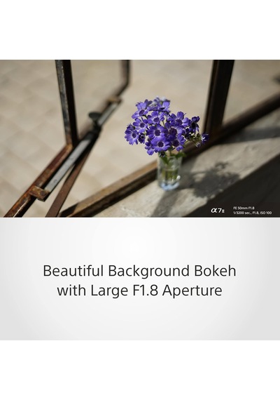 Sony Sel50f18f.syx Kompakt Sistem Fotoğraf Makinesi Lensi,fe 50mm