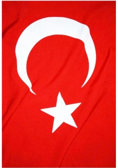 120x180 Cm Kumaş Türk Bayrağı Standart Kırmızı Diğer