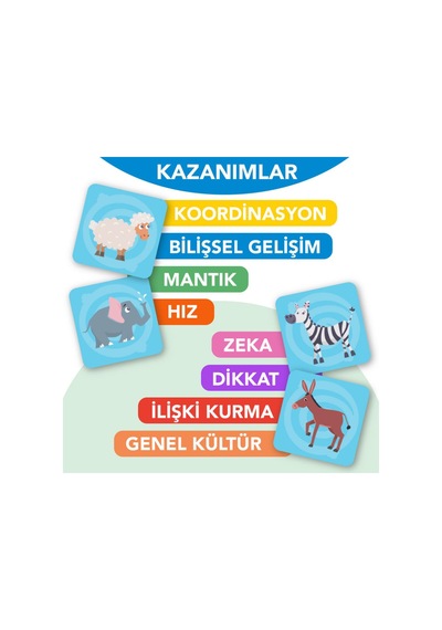 Link Yeni Nesil Bağlantı Kurma Oyunu  Hayvanlar