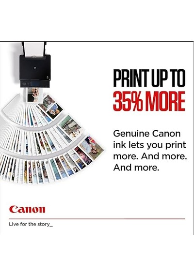 Canon Cl-546 Renkli Mürekkep Kartuşu 8289b001