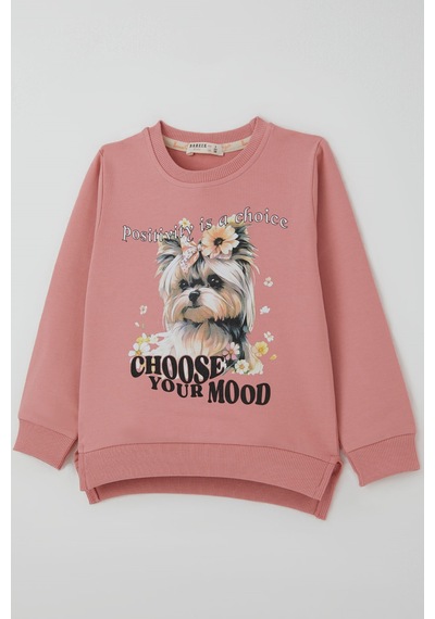 Breeze Kız Çocuk Sweatshirt Sevimli Köpekçik Baskılı Fiyonklu Yazı Baskılı 3-8 Yaş , Gülkurusu