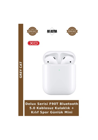 Delux Serisi F90t Bluetooth 5.0 Kablosuz Kulaklık + Kılıf Spor Günlük Mini