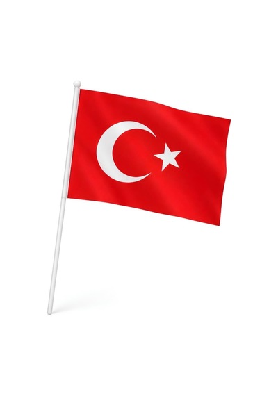 40 Adet Büyük Boy Çıtalı Türk Bayrağı Ay Yıldız Baskılı Sopalı Bayrak 20x30 Cm Tüm Yaşlar