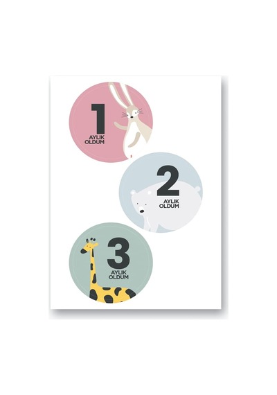 Le Color Lecolor Bebek Sticker Seti Abanoz
