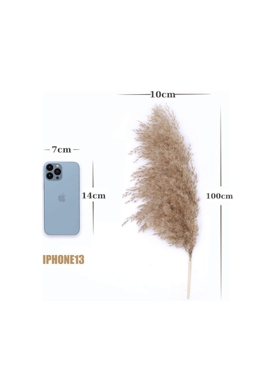 Alyones 10 Adet Kabarık Pampas Otu 100cm Doğal Kuru Pampas Dekor Boho Oda Çiçekleri Dekorasyonu