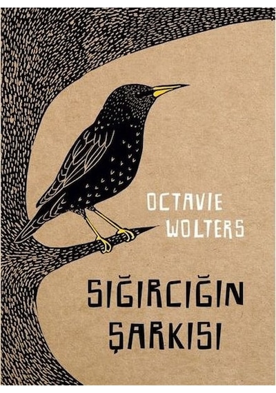 Sığırcığın Şarkısı - Octavie Wolters - Meav Yayıncılık