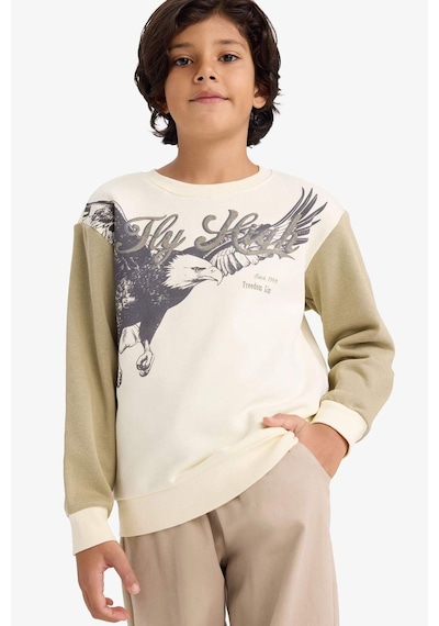 Defacto Erkek Çocuk Bisiklet Yaka Baskılı İçi Yumuşak Tüylü Sweatshirt G5554a825cwkh96 Haki-kh96